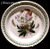 Portmeirion Botanic Garden Dinner Plate - Christmas Rose, 10 1/2"
