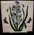 Portmeirion - Botanic Garden - Tile ~ Eastern Hyacinth