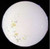 Noritake - Miyako 7566 - Dinner Plate