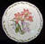 Noritake - Gourmet Garden 7940 - Dinner Plate 7940/4