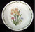 Noritake - Gourmet Garden 7940 - Pasta Bowl 7940/7