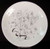 Wedgwood - Wild Oats W4166 - Salad Plate