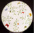 Raynaud - Histoire Naturelle - Bread Plate