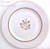 Rosenthal - Rosenthal Rose - Dinner Plate - AN