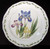Noritake - Gourmet Garden 7940 - Dinner Plate 7940/5 - LW