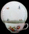 Royal Copenhagen - Frijsenborg 910 - Cup and Saucer - N