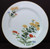 Noritake - Sandra 3062 - Dinner Plate - AN