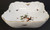 Herend Rothschild Bird (RO) Large Square Salad Serving Bowl, 10 1/4", side view.