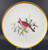 Hutschenreuther - Audobon Bird - Salad Plate - Cardinal - AN
