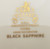Pickard - Black Sapphire - Dinner Plate - N