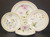 Mikasa - Nature's Garden - Place Setting - Aster - N