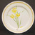 Mikasa - Nature's Garden - Place Setting - Jonquil - N