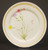 Mikasa - Nature's Garden - Dinner Plate - Carnation - AN