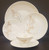 Rosenthal - Classic Rose - Place Setting - 5 Piece - N