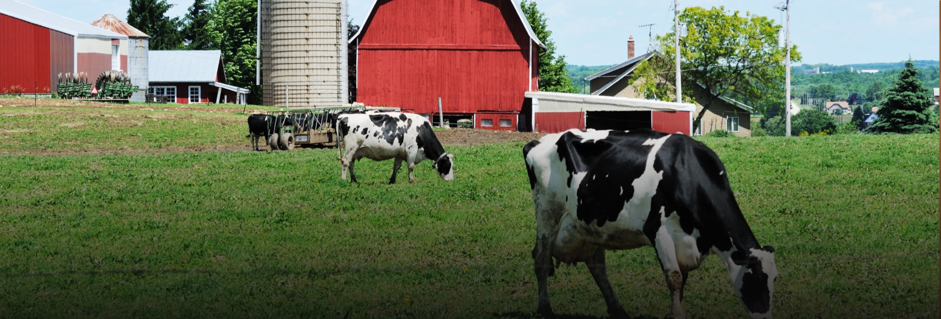 Farm Management