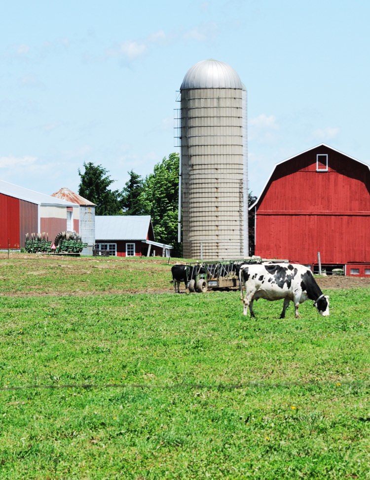Farm Management