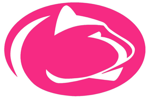 Penn State Nittany Lions Hot Pink Team Logo Premium Vinyl Decal PICK SIZE