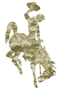 Wyoming Cowboys CAMO Camouflage Team Logo Premium Vinyl Decal PICK SIZE Wyoming Cowboys CAMO Camouflage Team Logo Premium Vinyl Decal PICK SIZE