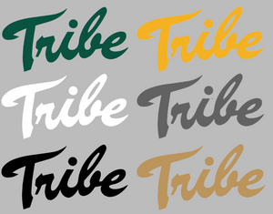 William & Mary Tribe Retro Throwback Logo 2 Premium Vinyl Decal PICK COLOR & SIZE William & Mary Tribe Retro Throwback Logo 2 Premium Vinyl Decal PICK COLOR & SIZE