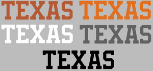 Texas Longhorns Team Name Logo Premium Vinyl Decal PICK COLOR & SIZE Texas Longhorns Team Name Logo Premium Vinyl Decal PICK COLOR & SIZE