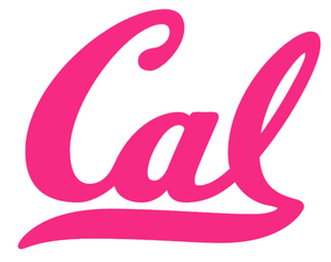 California Cal Golden Bears Hot Pink Team Logo Premium Vinyl Decal PICK SIZE California Cal Golden Bears Hot Pink Team Logo Premium Vinyl Decal PICK SIZE