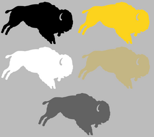 Colorado Buffaloes Retro Throwback Logo 2 Premium Vinyl Decal PICK COLOR & SIZE Colorado Buffaloes Retro Throwback Logo 2 Premium Vinyl Decal PICK COLOR & SIZE