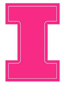Illinois Fighting Illini Hot Pink Team Logo Premium Vinyl Decal PICK SIZE