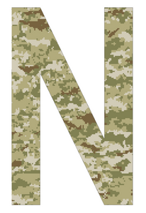 Nebraska Cornhuskers CAMO Camouflage Altertnate N Logo Premium Vinyl Decal PICK SIZE Nebraska Cornhuskers CAMO Camouflage Altertnate N Logo Premium Vinyl Decal PICK SIZE