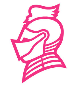 Bellarmine Knights HOT PINK Team Logo Premium Vinyl Decal PICK SIZE Bellarmine Knights HOT PINK Team Logo Premium Vinyl Decal PICK SIZE