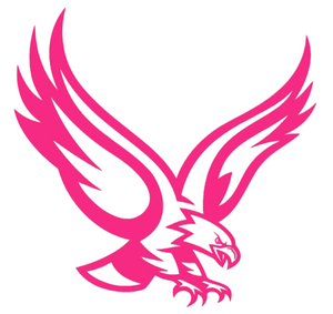 Boston College Eagles HOT PINK Mascot Logo Premium Vinyl Decal PICK SIZE Boston College Eagles HOT PINK Mascot Logo Premium Vinyl Decal PICK SIZE
