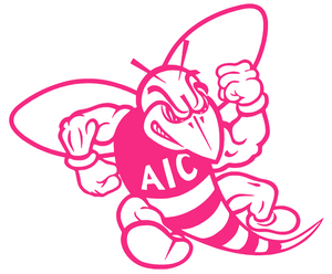 AIC Yellow Jackets HOT PINK Retro Throwback Logo Premium Vinyl Decal PICK SIZE AIC Yellow Jackets HOT PINK Retro Throwback Logo Premium Vinyl Decal PICK SIZE