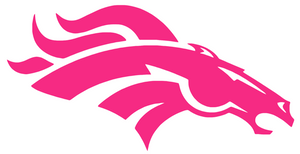 Denver Broncos Hot Pink Alternate Logo Premium Vinyl Decal PICK SIZE Denver Broncos Hot Pink Alternate Logo Premium Vinyl Decal PICK SIZE