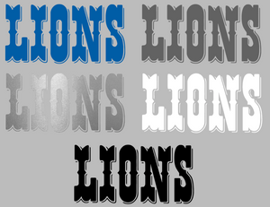 Detroit Lions Retro Team Name Logo Premium Vinyl Decal PICK COLOR & SIZE Detroit Lions Retro Team Name Logo Premium Vinyl Decal PICK COLOR & SIZE