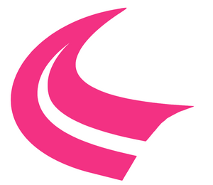 Houston Texans Hot Pink Horns Logo Premium Vinyl Decal PICK SIZE Houston Texans Hot Pink Horns Logo Premium Vinyl Decal PICK SIZE
