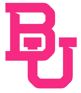 Baylor Bears HOT PINK Team Logo Premium Vinyl Decal PICK SIZE Baylor Bears HOT PINK Team Logo Premium Vinyl Decal PICK SIZE