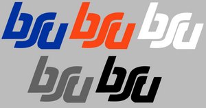 Boise State Broncos Retro Throwback Logo 2 Premium Vinyl Decal PICK COLOR & SIZE Boise State Broncos Retro Throwback Logo 2 Premium Vinyl Decal PICK COLOR & SIZE