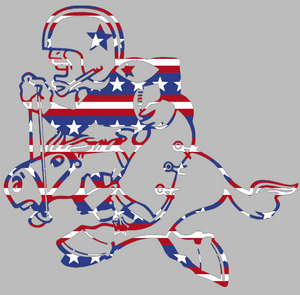 Dallas Cowboys Stars & Stripes USA Flag Retro Throwback Logo Premium Vinyl Decal PICK SIZE