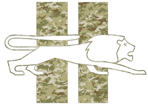 Detroit Lions Camo Salute to Service Camouflage Retro Throwback Logo Premium Vinyl Decal PICK SIZE Detroit Lions Camo Salute to Service Camouflage Retro Throwback Logo Premium Vinyl Decal PICK SIZE
