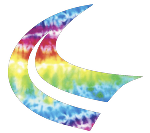 Houston Texans Crucial Catch Cancer Tie Dye Horns Logo Premium Vinyl Decal PICK SIZE Houston Texans Crucial Catch Cancer Tie Dye Horns Logo Premium Vinyl Decal PICK SIZE