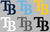 Tampa Bay Rays Team Logo Premium Vinyl Decal PICK COLOR & SIZE