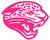 Jacksonville Jaguars Hot Pink Retro Throwback Logo Premium Vinyl Decal PICK SIZE