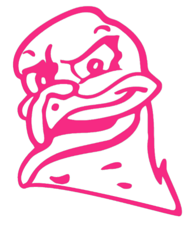 Virginia Tech Hokies Hot Pink Hokie Bird Mascot Logo Premium Vinyl Decal PICK SIZE