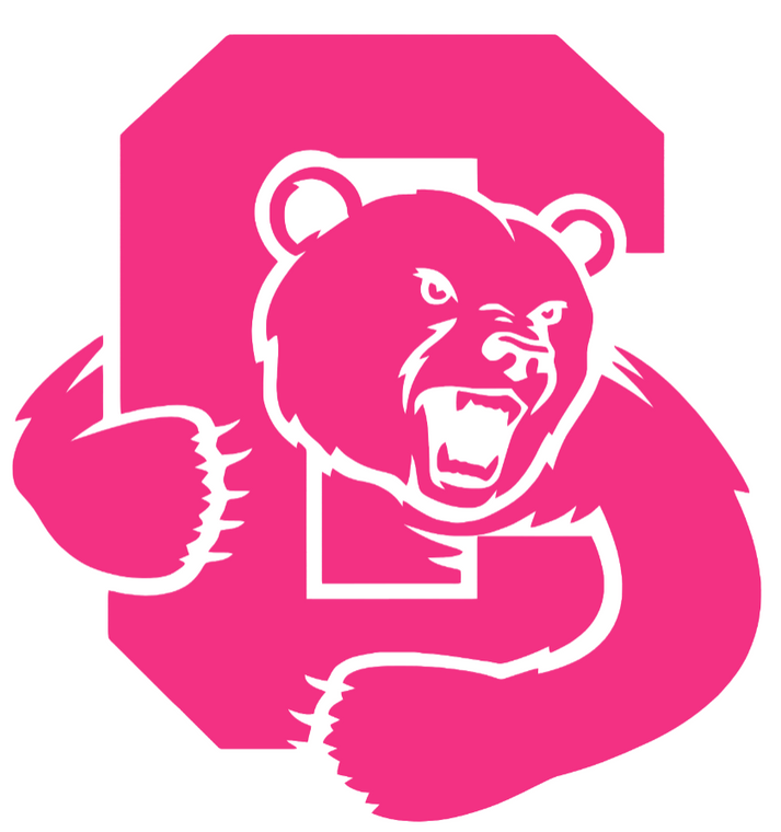 Cornell Big Red Hot Pink Team Logo Premium Vinyl Decal PICK SIZE