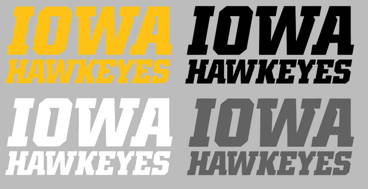 Iowa Hawkeyes Team Name Logo Premium Vinyl Decal PICK COLOR & SIZE