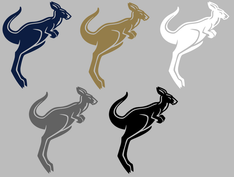 Akron Zips Retro Throwback Logo 3 Premium Vinyl Decal PICK COLOR & SIZE