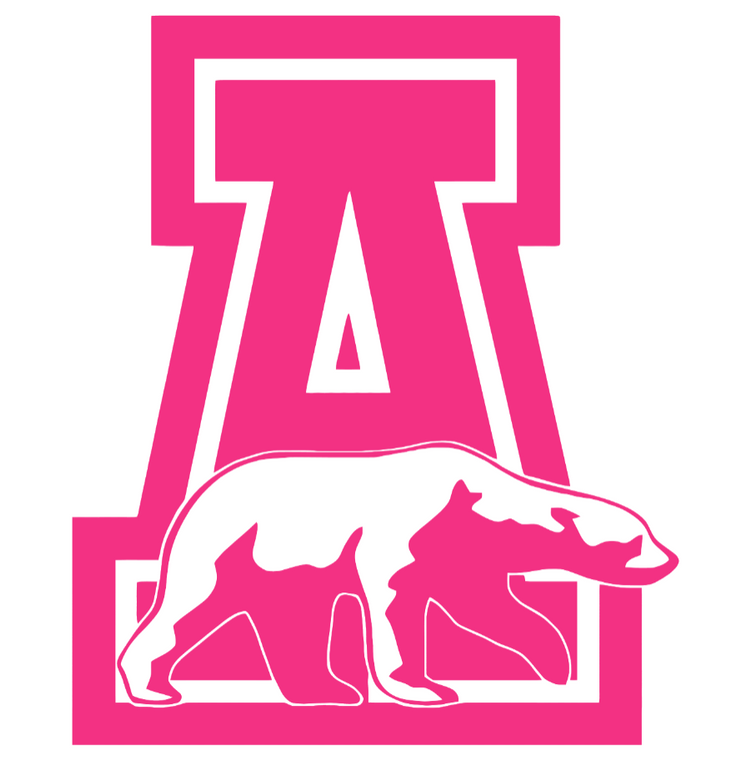 Alaska Nanooks HOT PINK Team Logo Premium Vinyl Decal PICK SIZE