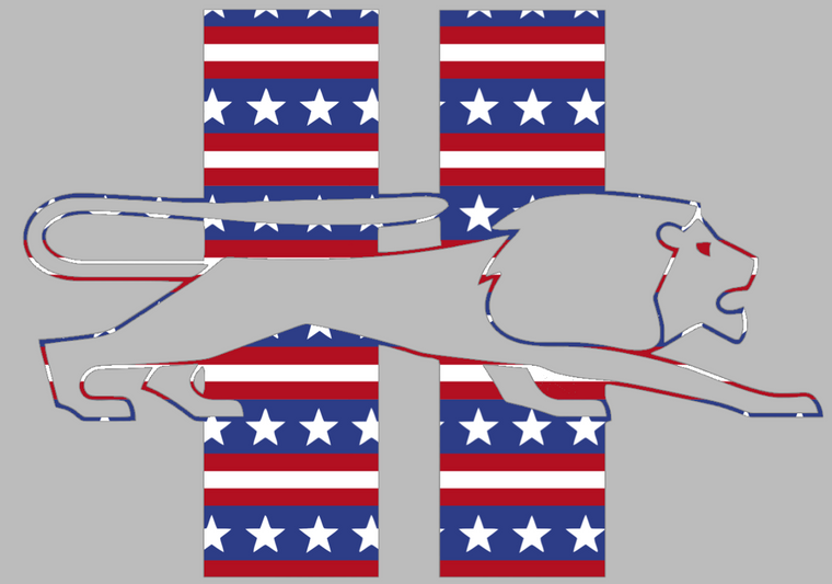 Detroit Lions Stars & Stripes USA Flag Retro Throwback Logo Premium Vinyl Decal PICK SIZE