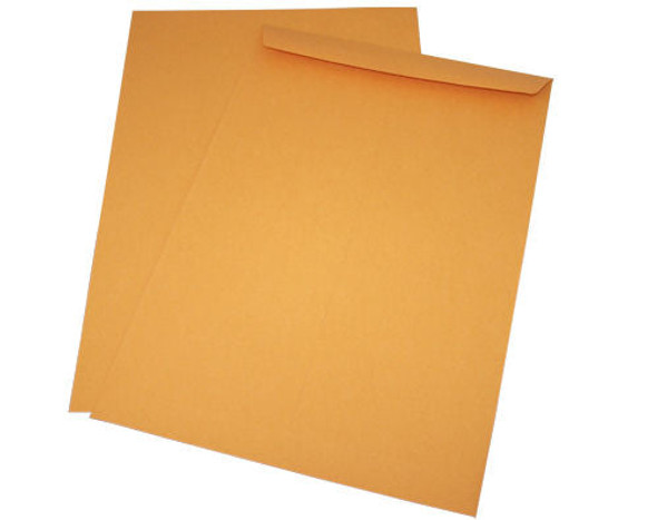 10 x 15 Catalog Brown Kraft  Envelopes 28lb. - Mailers Direct™