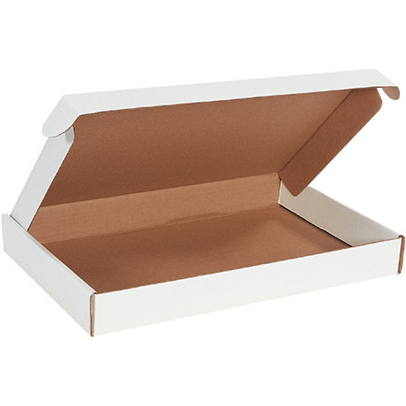 17 1/8 x 11 1/8 x 2  White
Deluxe Literature Mailers