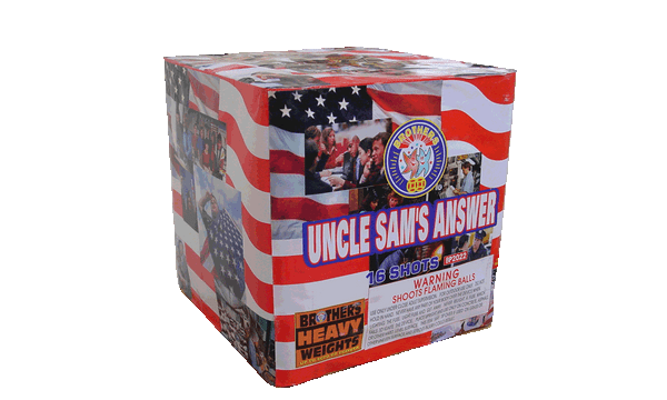 UNCLE SAM'S ANSWER 16 SHOTS